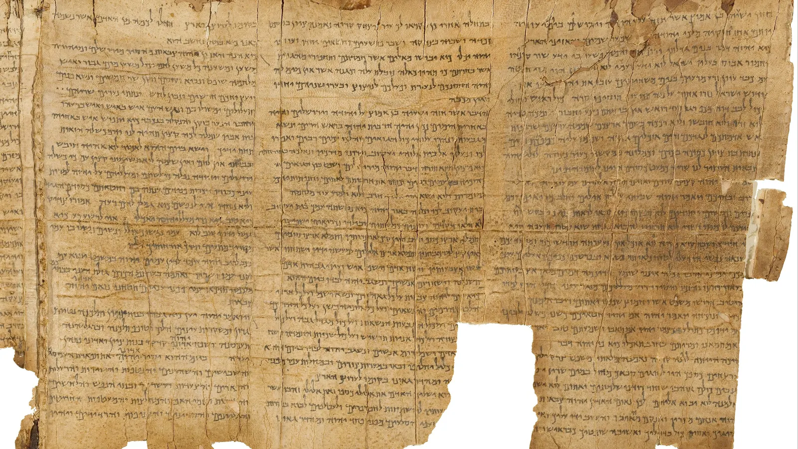 Columns of ancient Hebrew text on a section of the Great Isaiah Scroll