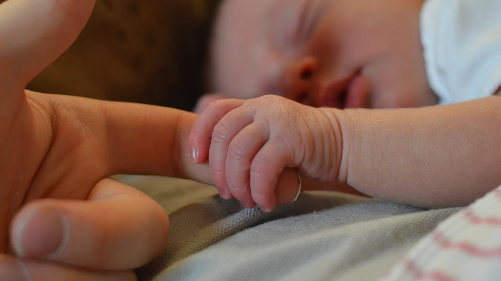 A newborn baby's hand holding an adult's finger