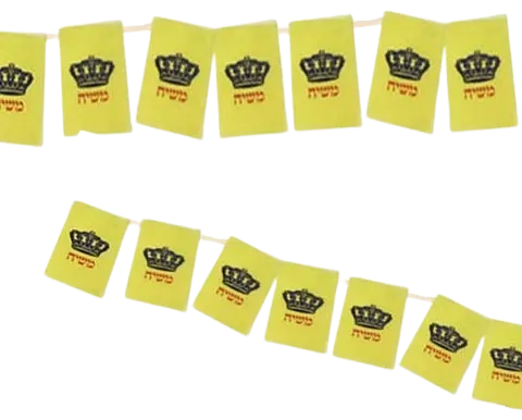 Moshiach flag chain (10 m)