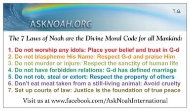 Seven Laws of Noah wallet cards (pack of 250)
